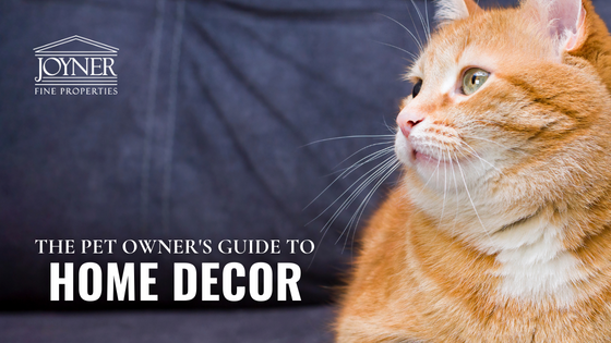 pet decor tips